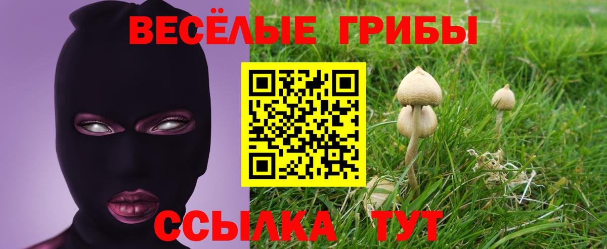 Галлюциногенные грибы ЛСД Белорецк